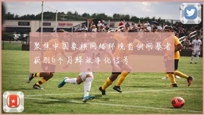 聚焦中国象棋网络环境首例网暴者获刑6个月释放净化信号